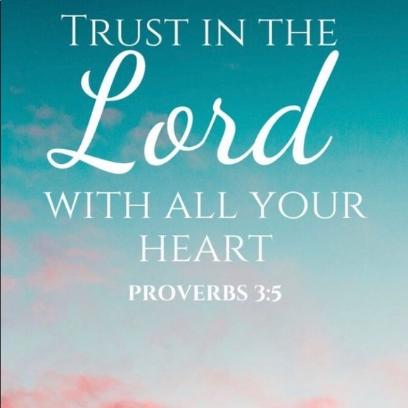 Meet your Posher, Kaya - Picture 3 of 5